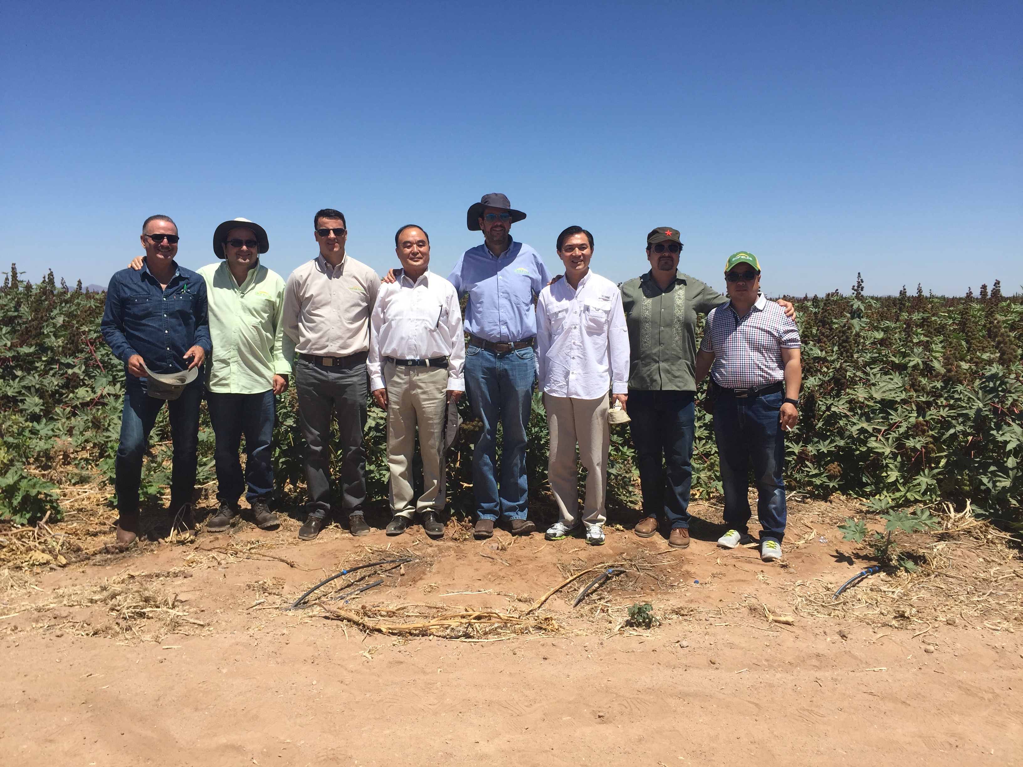 黄庆科总经理与墨西哥CF公司经理和专业技术人员在播种、滴灌、全程机械化管理、收获的规模化种植蓖麻田间合影