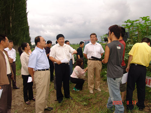 黄家祥董事长参加新疆蓖麻现场交流会